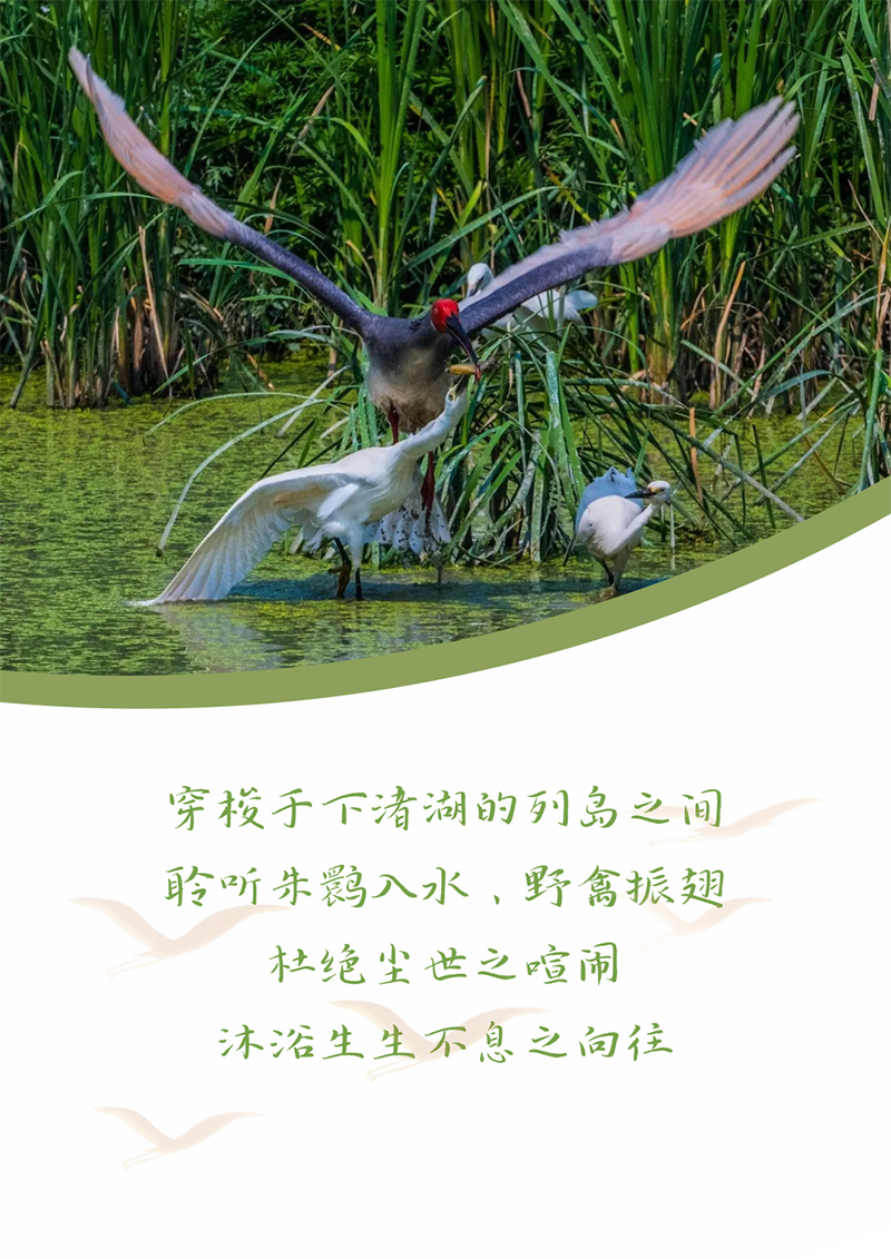 إ 鶶ȦΪĶ | Լ إص